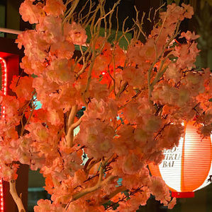 Meet your Posher, Roy yongho